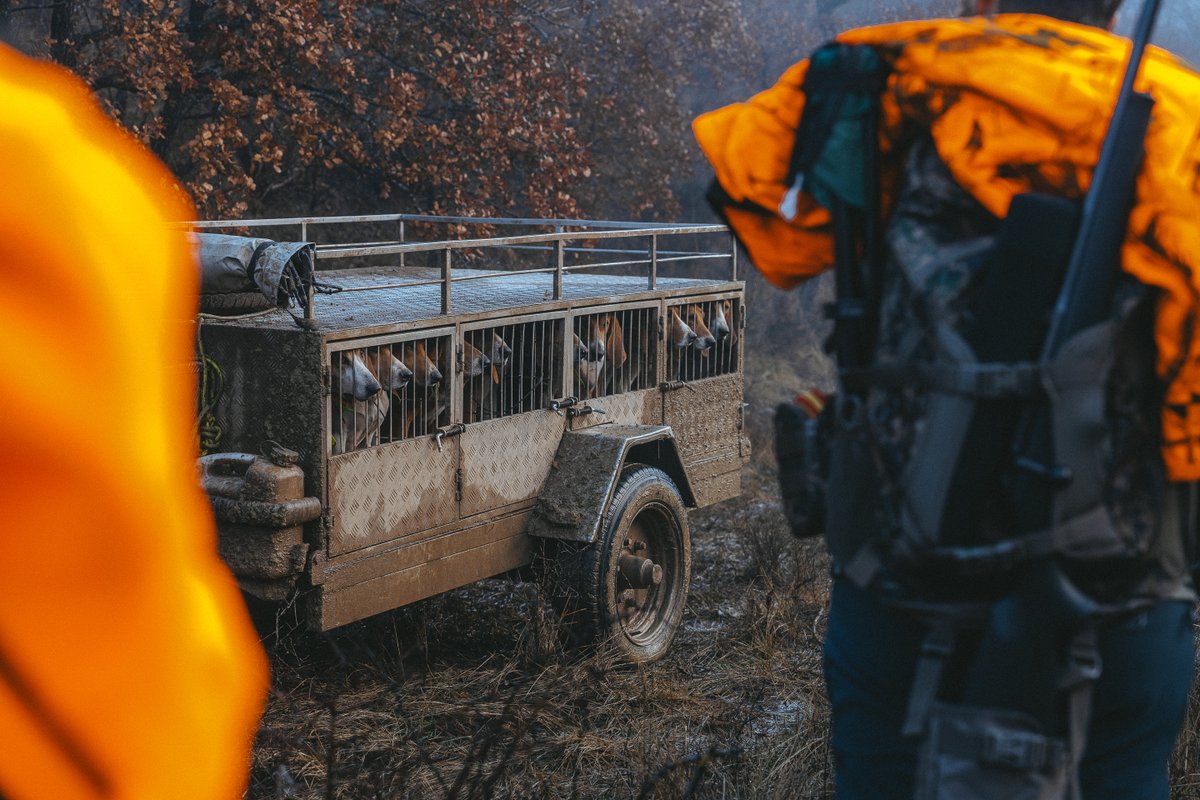 MUTUASPORT tweet media