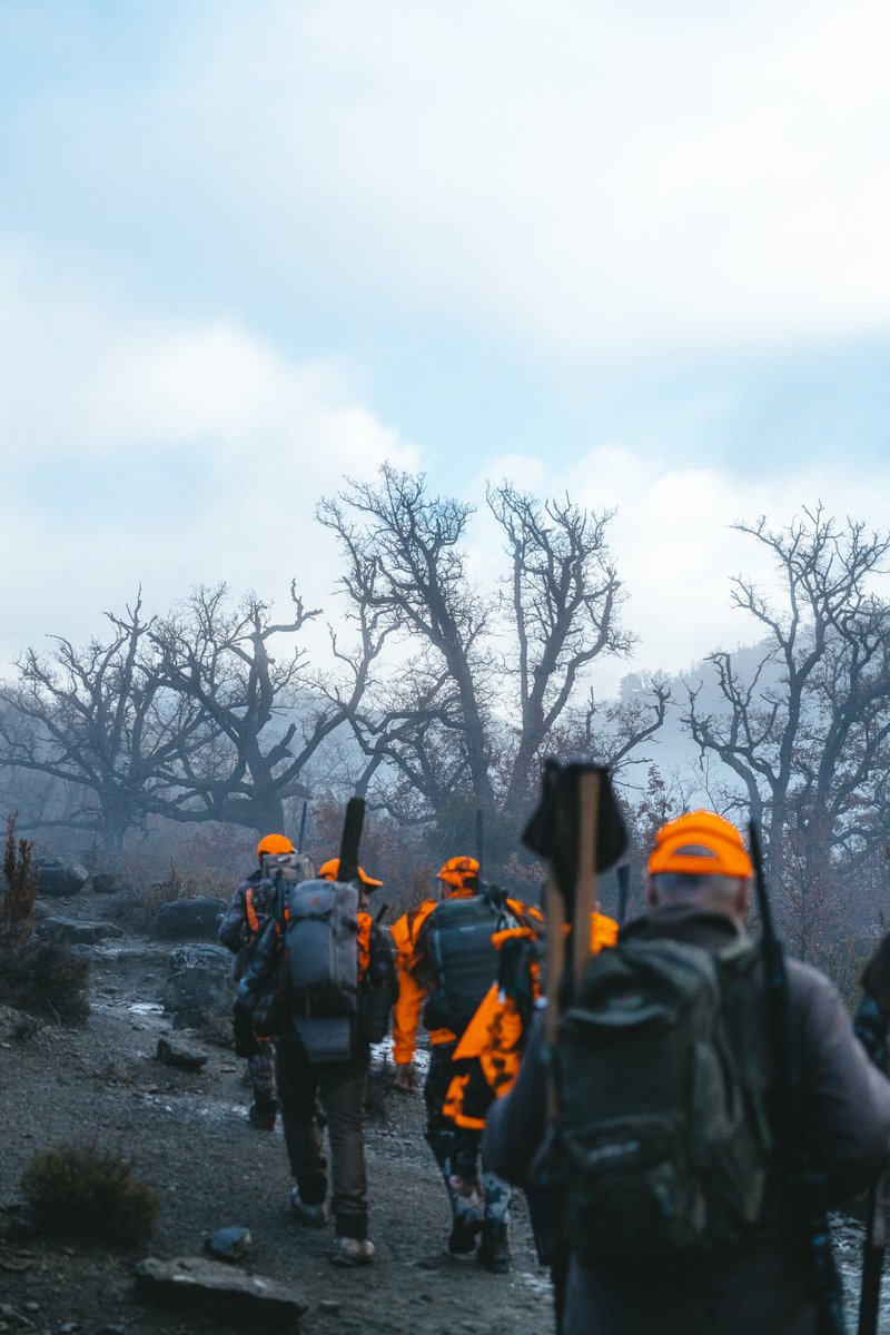 MUTUASPORT tweet media