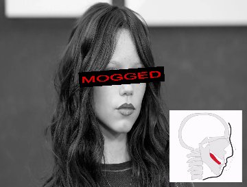 acervo baboes tweet media