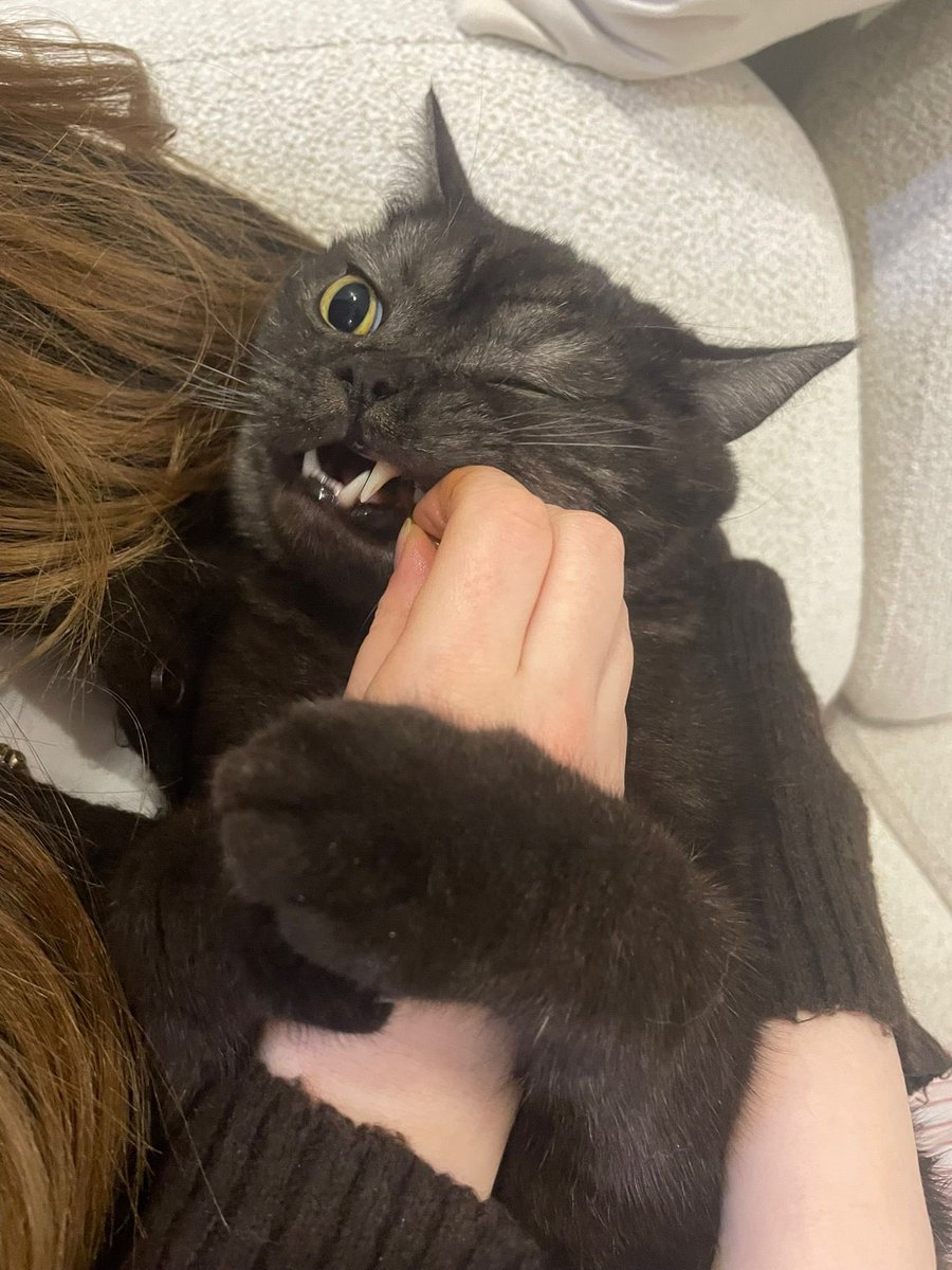 Tek gözlü obur canavar 👹