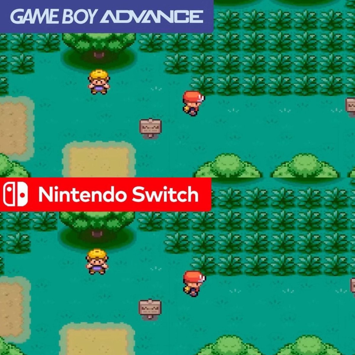 Pediavenir tweet media