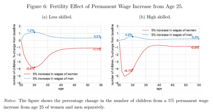 A new study reveals that wage increases for males raise birth rates, whereas wage increases for females markedly lower them.

Follow: <a href="/AFpost/">AF Post</a>