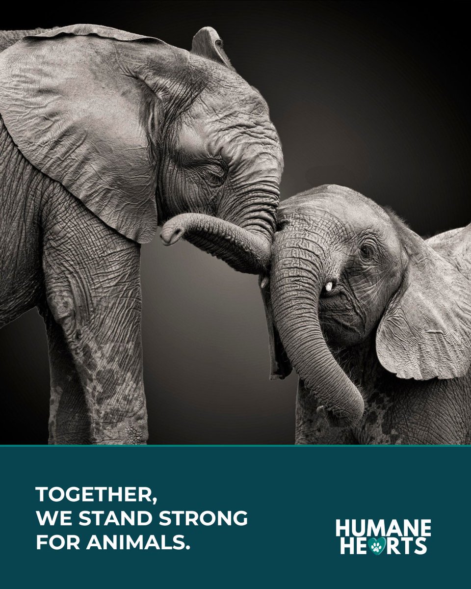 Humane Canada tweet media