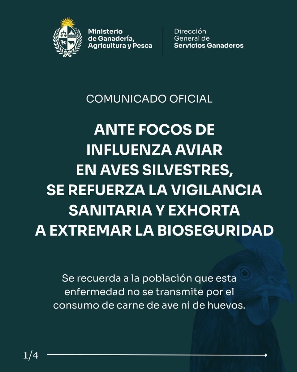 INFO CAPITAL tweet media