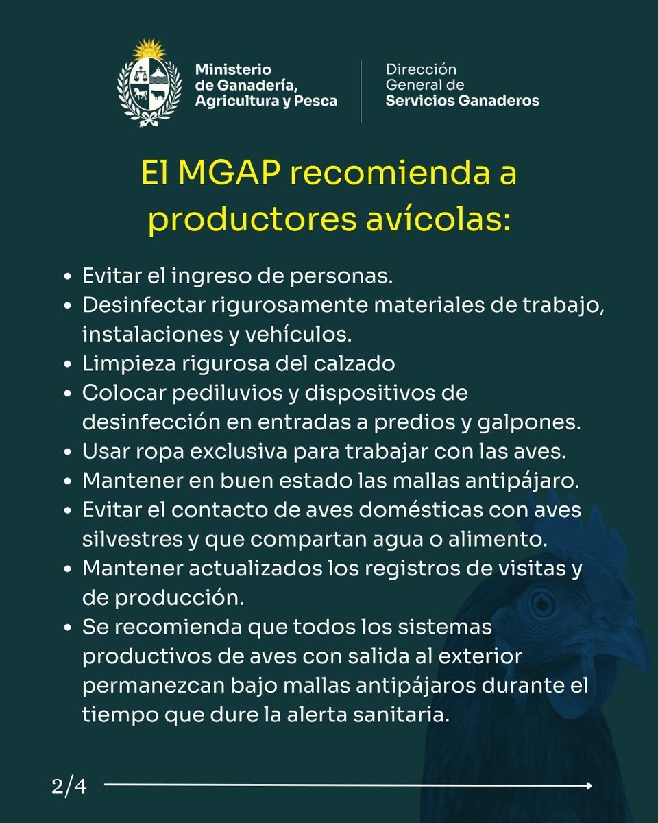 INFO CAPITAL tweet media