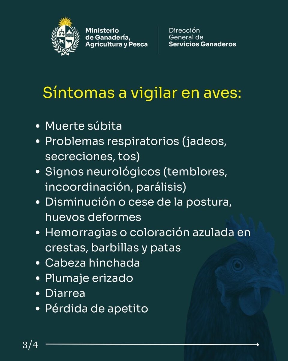INFO CAPITAL tweet media