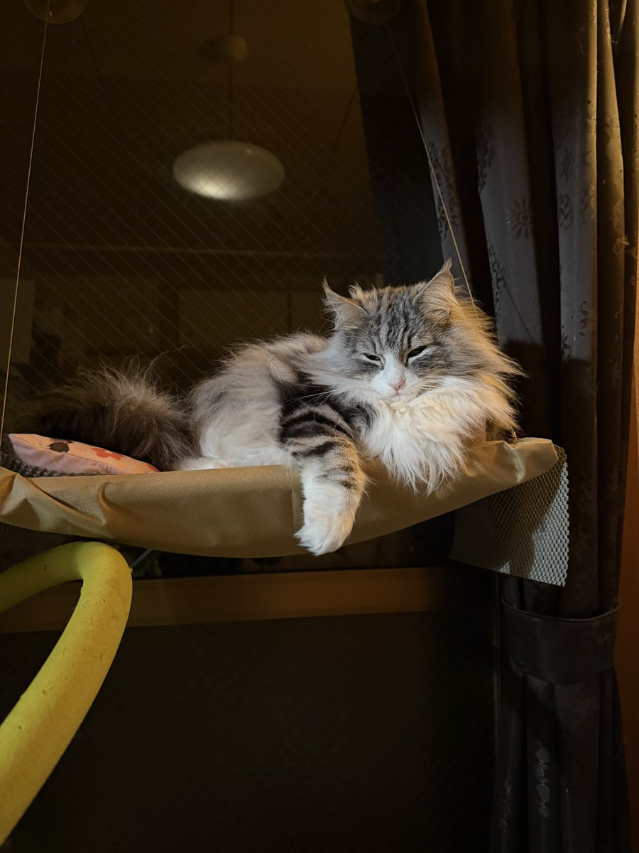 伊藤カイジ系［智也］ (@0522Kaiji) / Posts / X