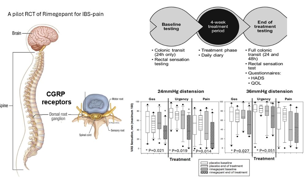 AJP-Gastrointestinal and Liver Physiology tweet media