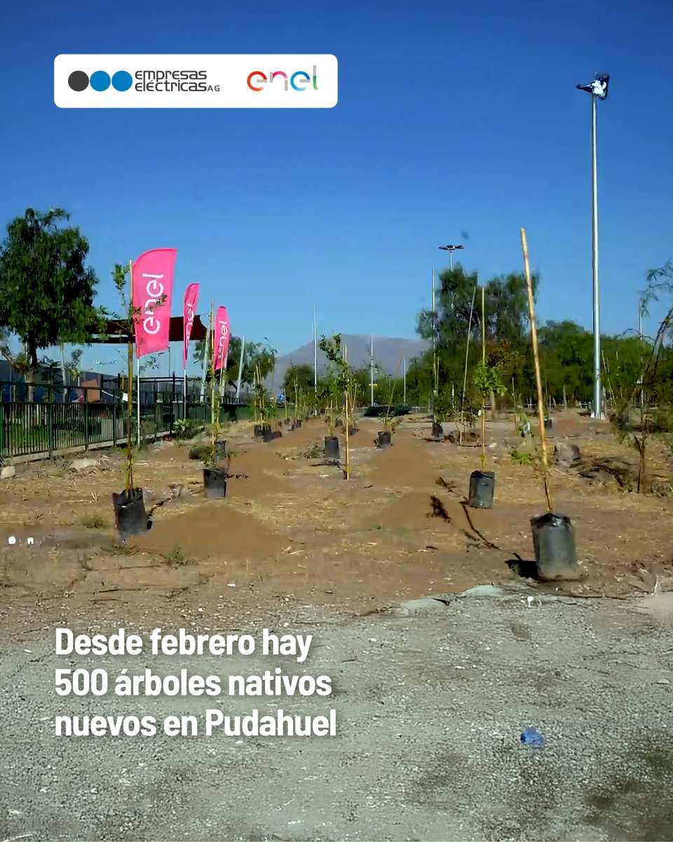 Empresas Eléctricas A.G. tweet media