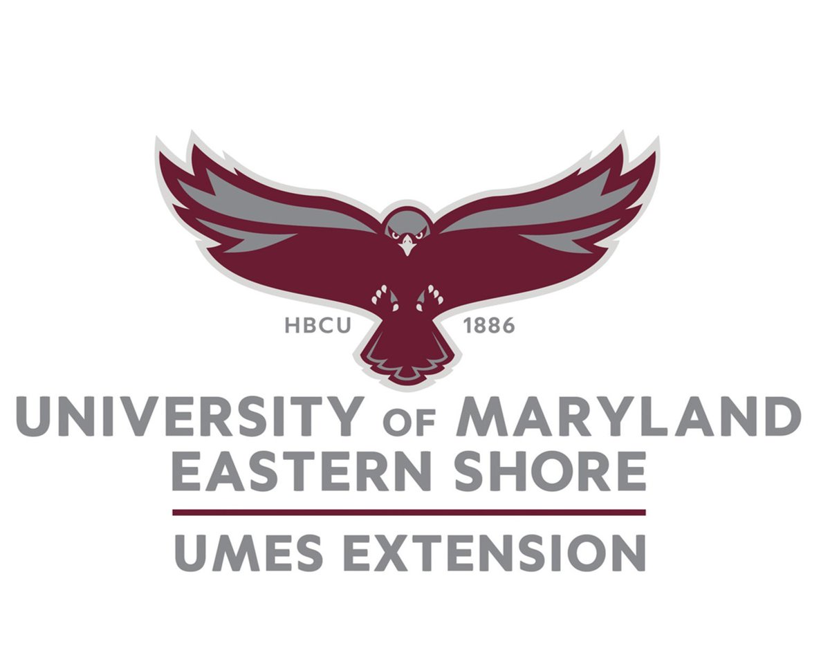 umesextension tweet media