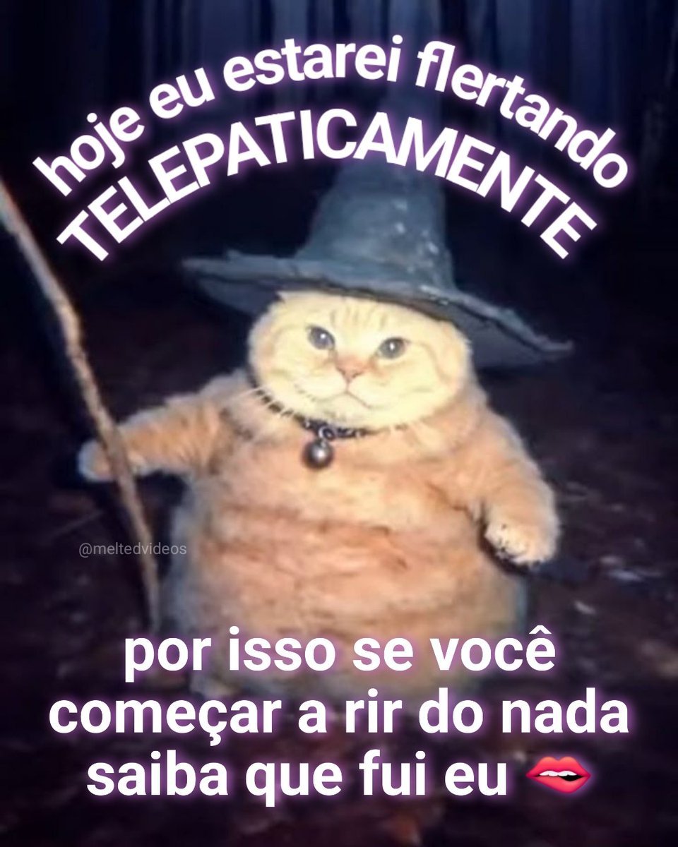 Analise de Calvos (@analisedecalvos) on Twitter photo 