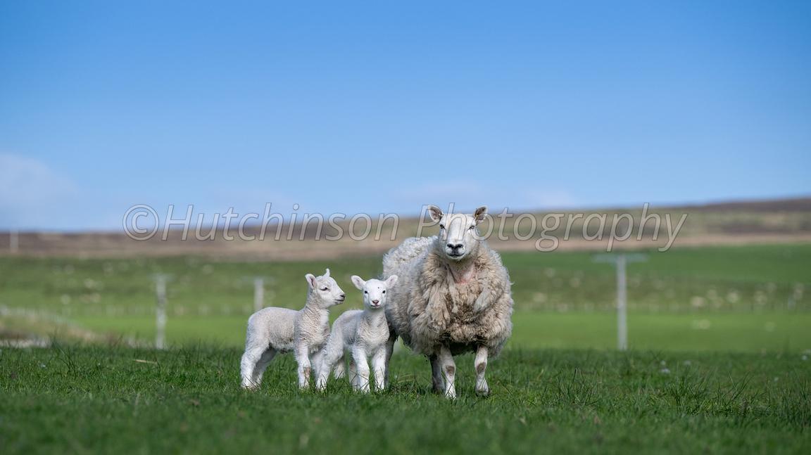 Check out the latest images from our award winning photography of the British countryside. phot.dk/Mrh/M