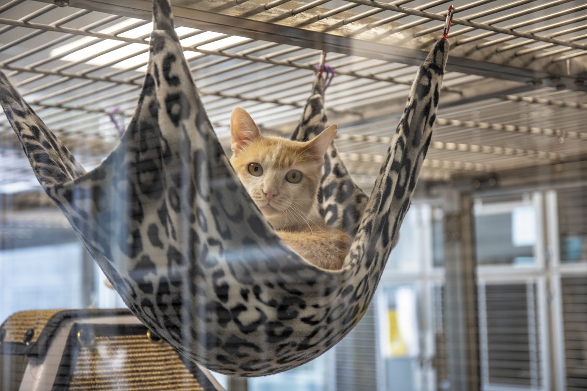 Sundt Construction tweet media