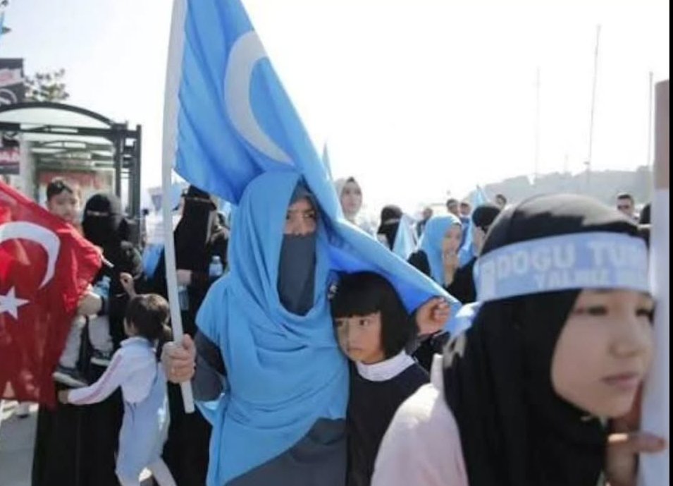 57. ALAY tweet media