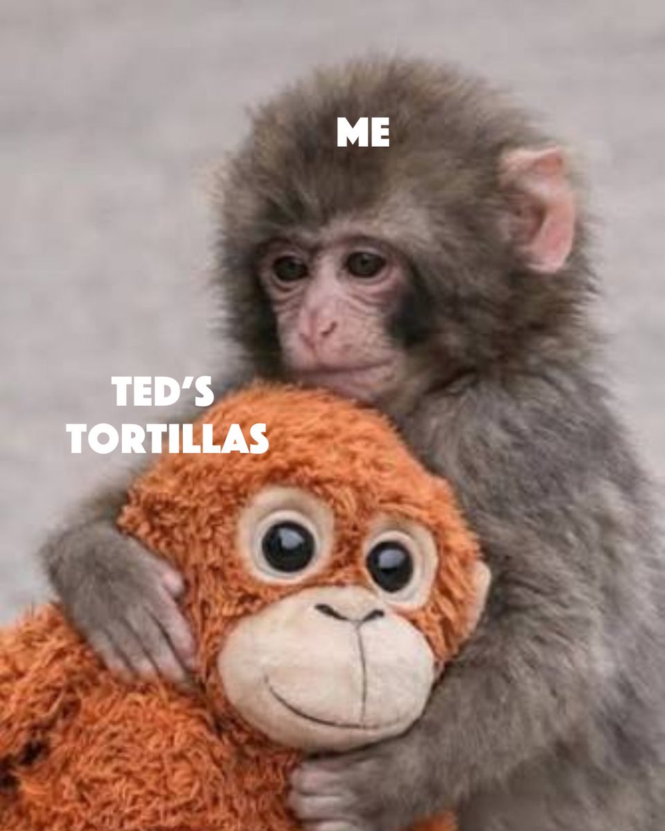 Us 🤝 complimentary set up