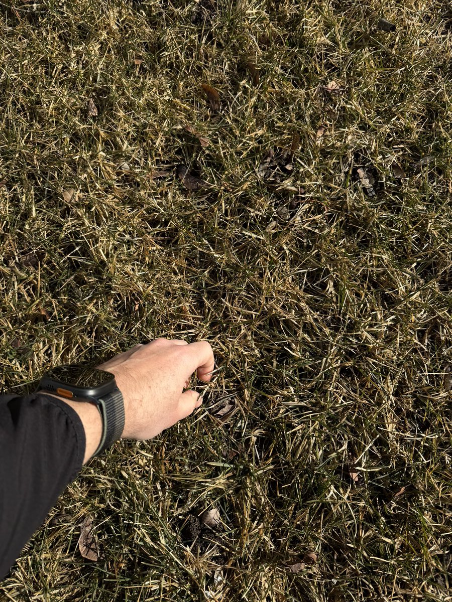 jeradhill's tweet photo. Reminder to go outside and touch grass when you hit your Claude Code limits. https://t.co/RP7RQtTqIv