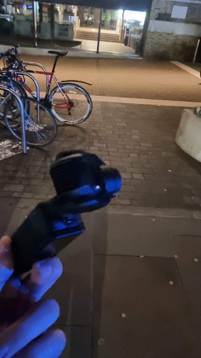 Young Bob tweet media