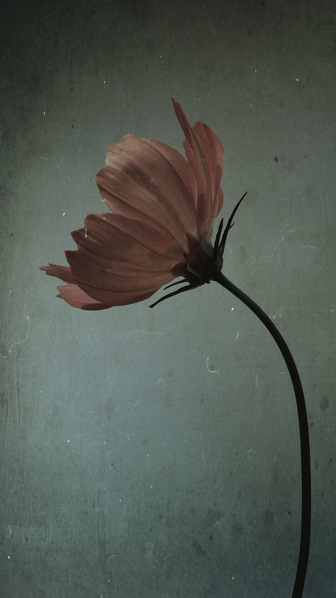 Gitmek istediğim yer;
Seni ayağa kaldırıp yürütemiyorsa,
gözlerimi dolduruyor.

İyi geceler