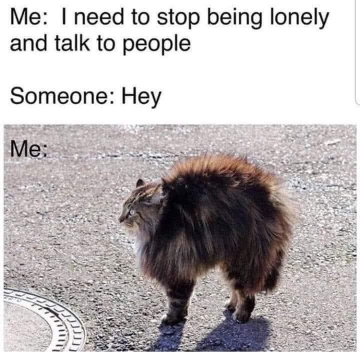 AmericaReal tweet media