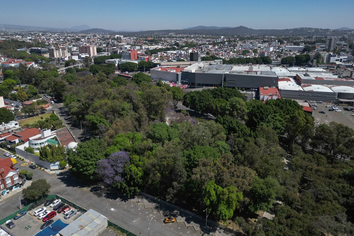 Carlos Rocha tweet media