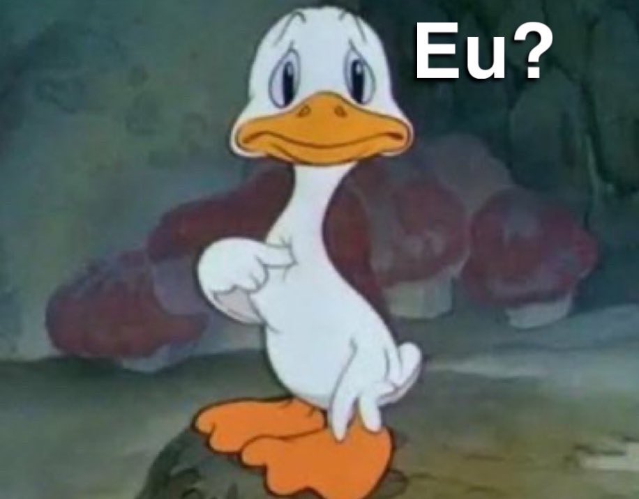 sebastián codex tweet media