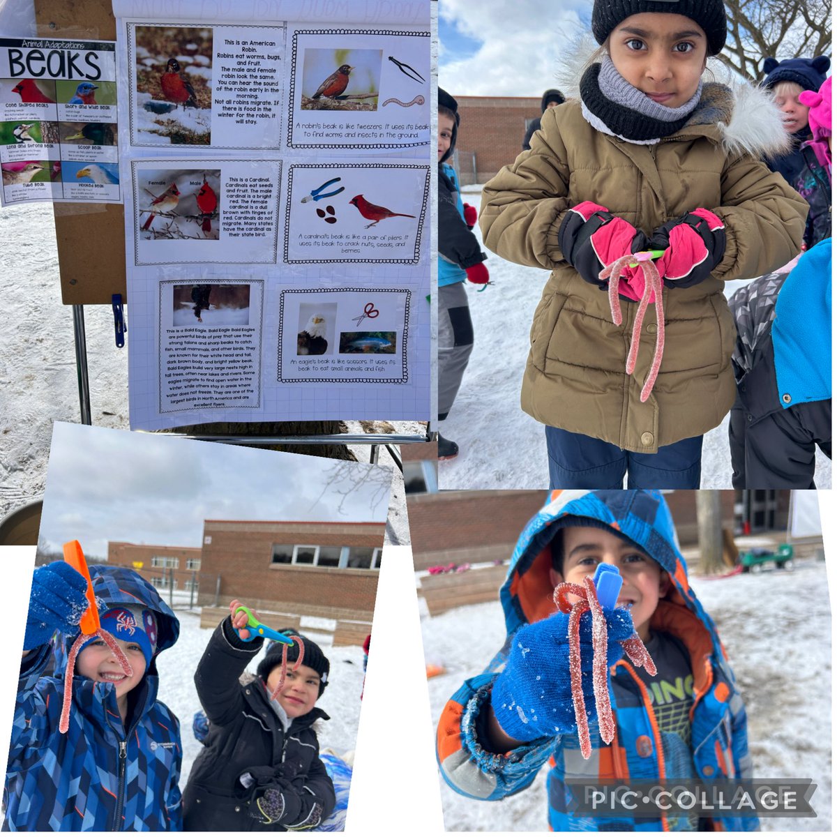 Ms. Featherston tweet media