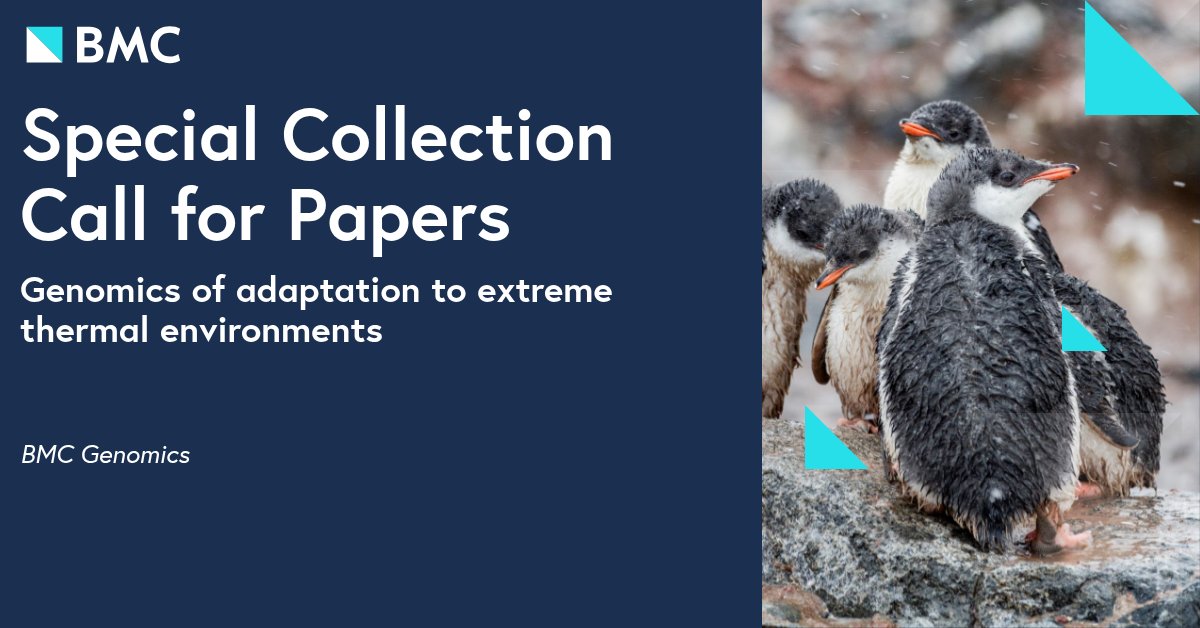 Carly Kenkel tweet media