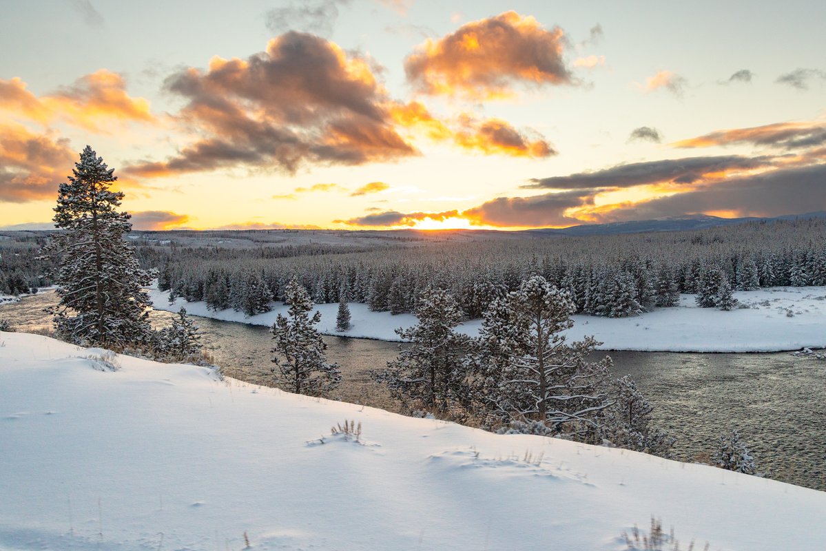 Yellowstone National Park tweet media