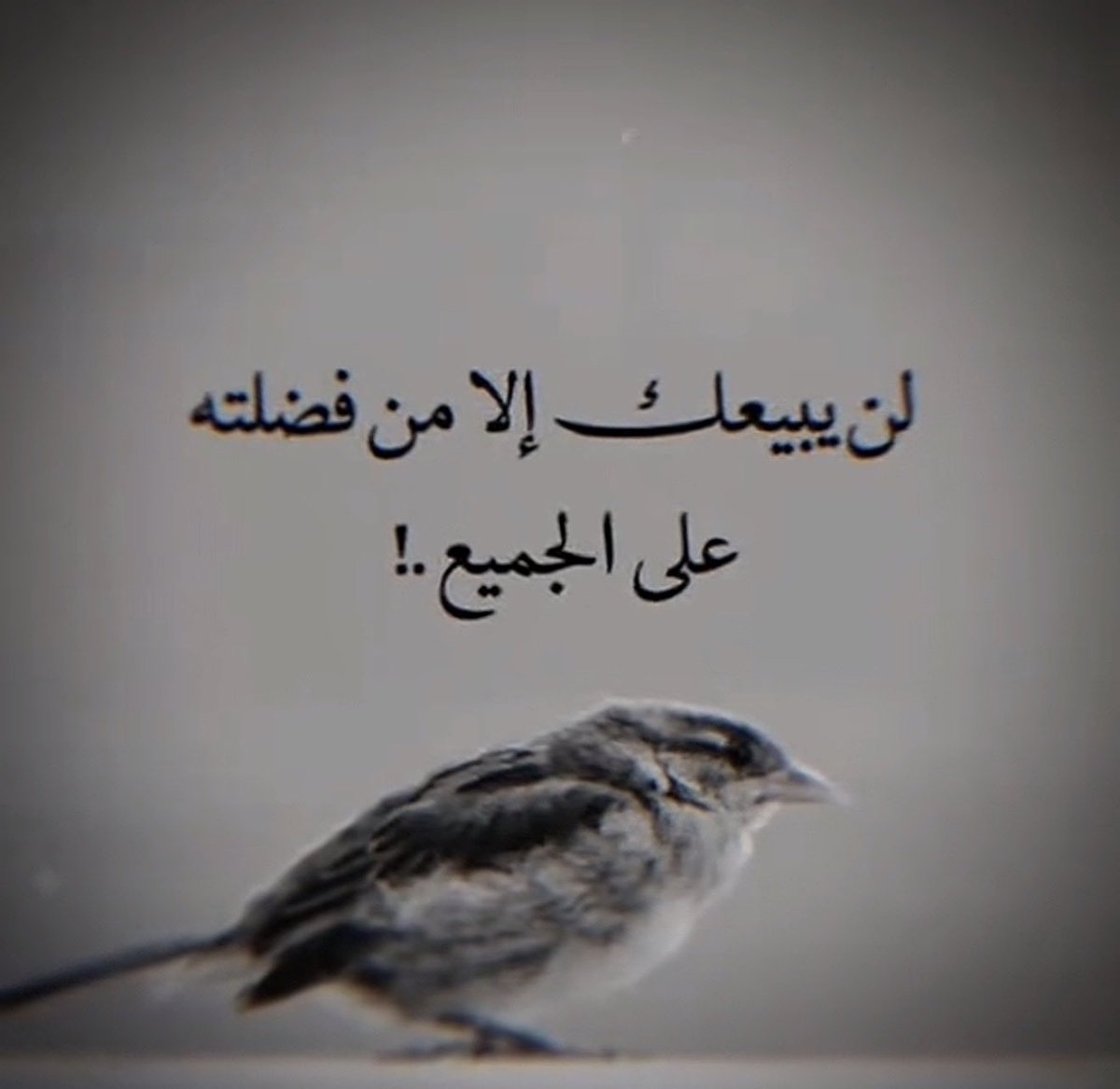 هشام الماجدي (@heshammajde) on Twitter photo 