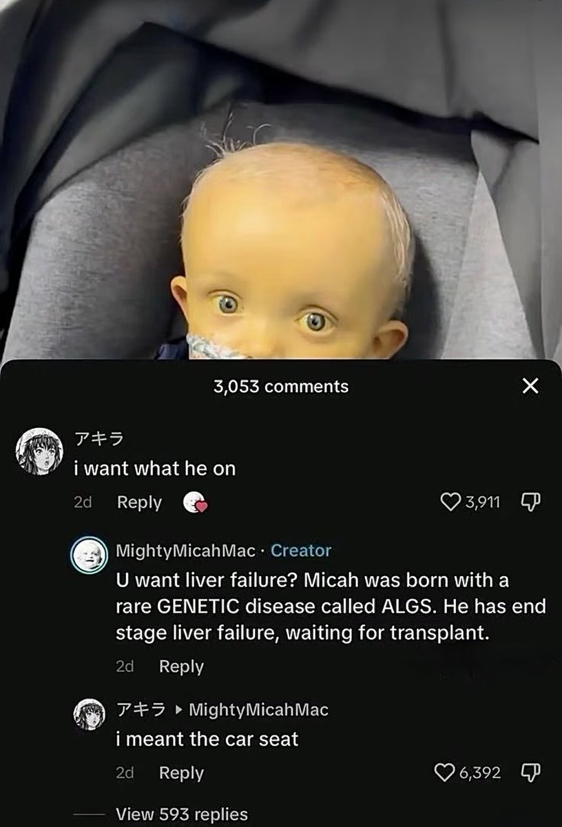 Wild Sentences (@wildsentences) on Twitter photo 