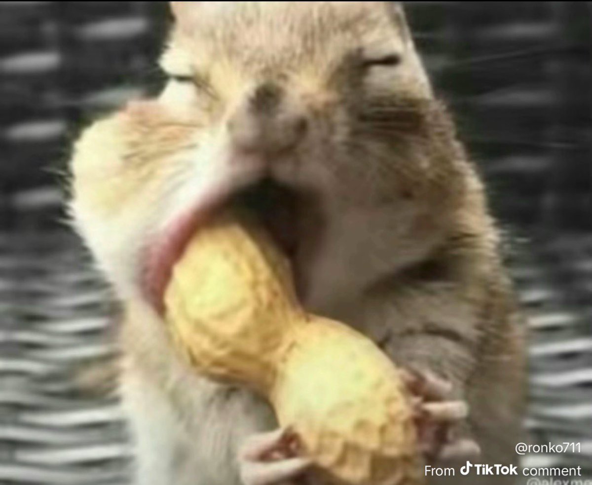 TBH | MAC tweet media