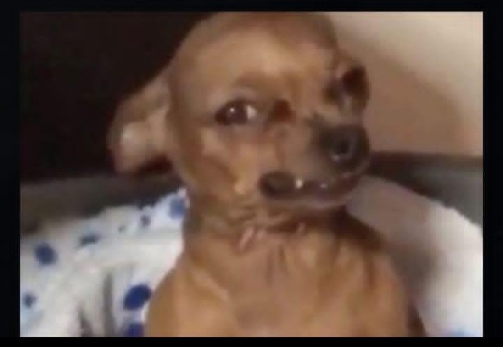 “Habah!!!! Mentor you don blow my forex account oooh💔😂 how come ?"

My Mentor