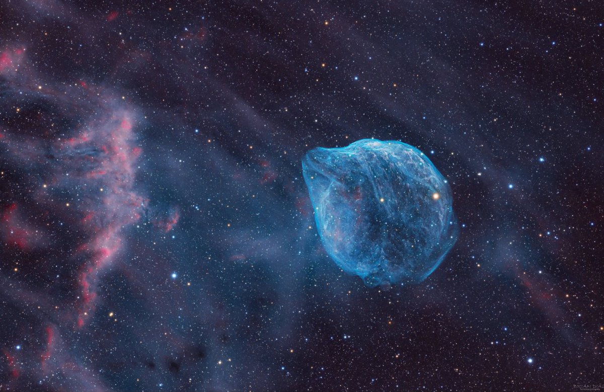 Insight Observatory tweet media