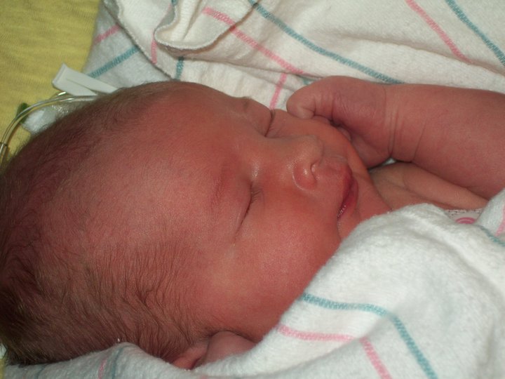 American Red Cross tweet media