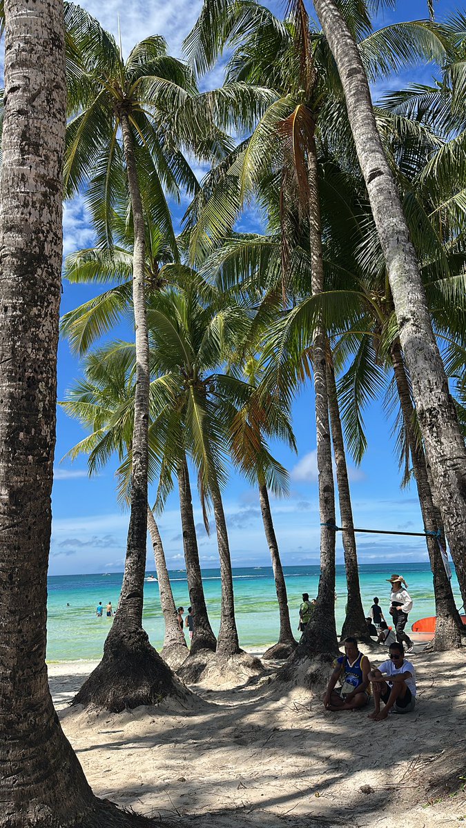 TaraTee25's tweet photo. Todays Wisdom  comes from Youn, green Coconuts - 1 of the purest form of hydration &amp; electrolytes to power up your body &amp; mind with natural sugars - Drink Daily for a week and Rejuvenate your Whole Body! Add to smoothies or drink as it is! https://t.co/qpOgMdLff4