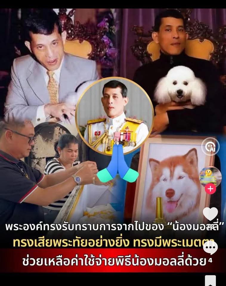 JZchalo's tweet photo. 👉ในหลวงรับอุปถัมป์ค่าใช้จ่ายทั้งค่ารักษา ค่าฌาปนกิจแ���้วหรือไม่ อย่างไร หรือ ไม่ต้องจ่าย https://t.co/TayHl6tLEf
