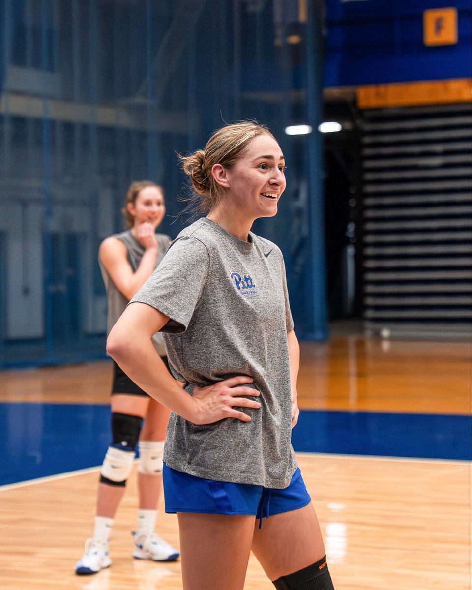 Pitt Volleyball tweet media