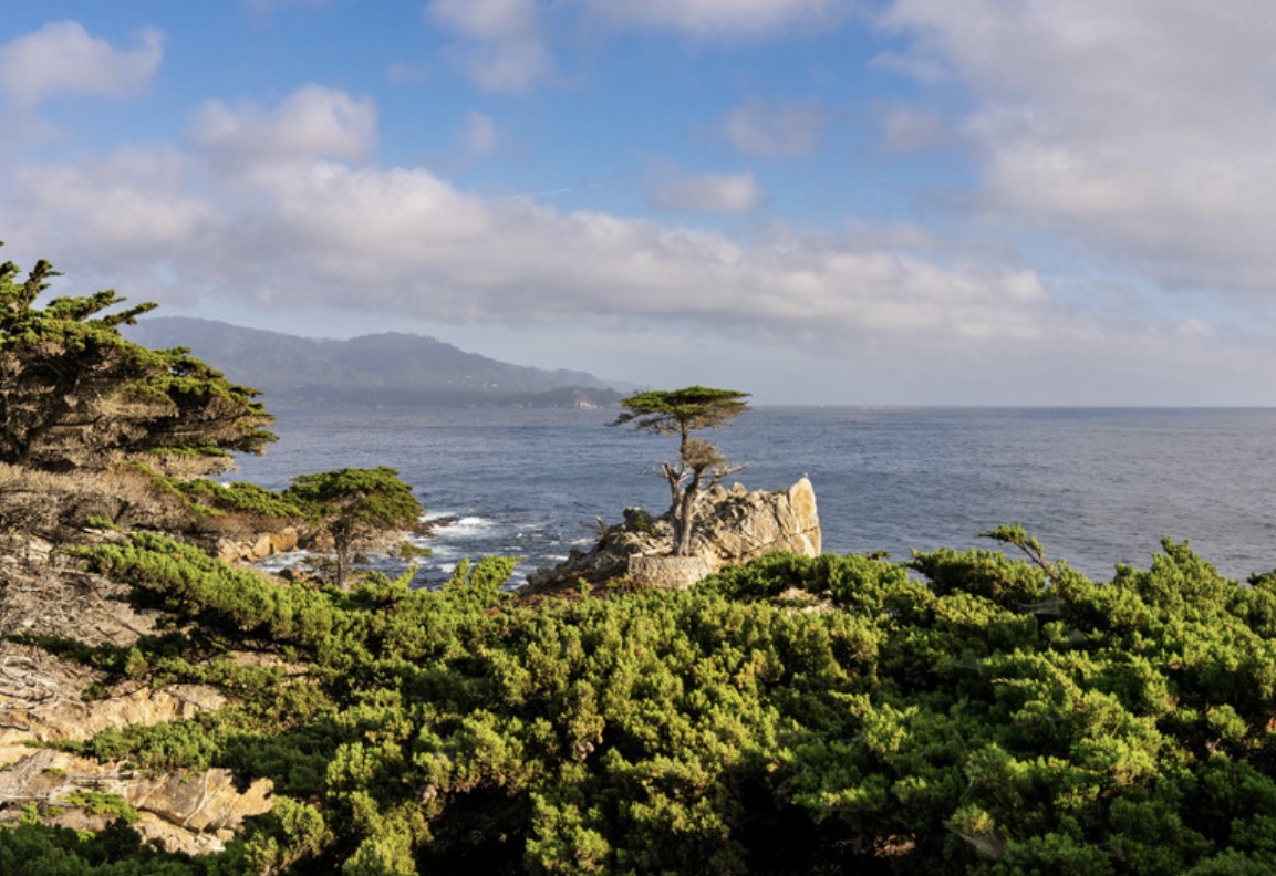 InterCon Monterey tweet media