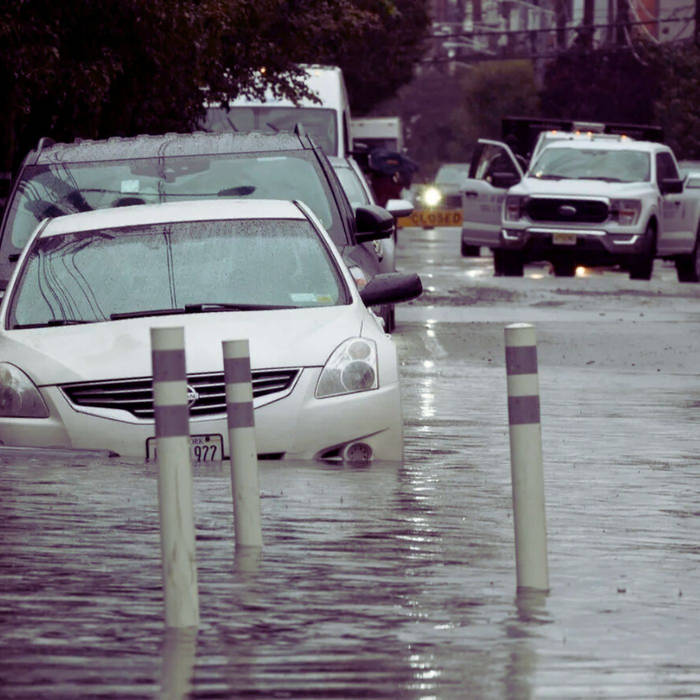 ♪🎧ྀི🌸 MetalFlowerz ~ Heaven On Earth 4/6 🌸🎧ྀི♪ tweet media