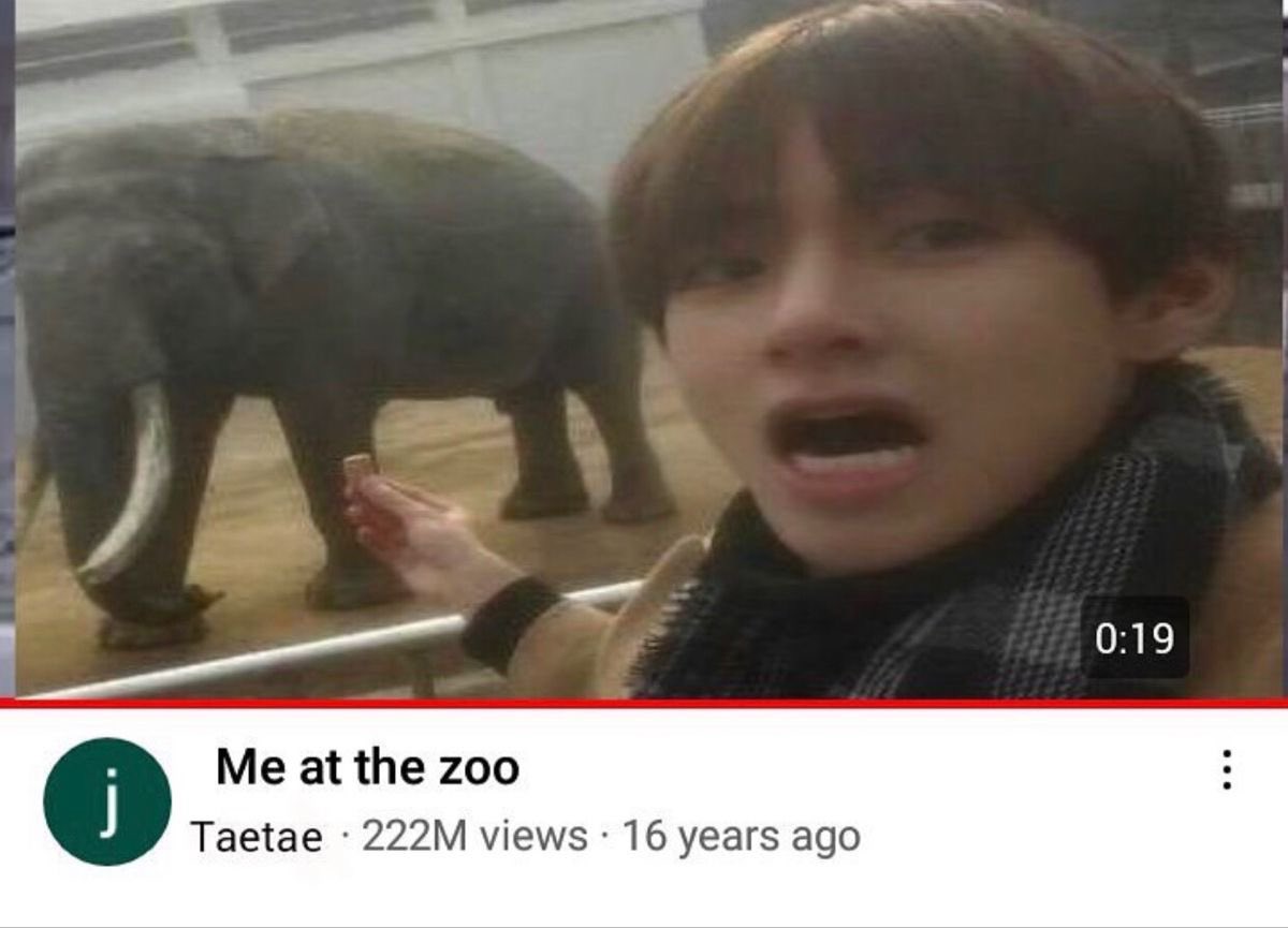at the zoo