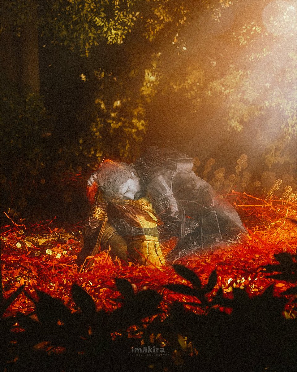 𝑨𝒌𝒊𝒓𝒂. 🦋 tweet media