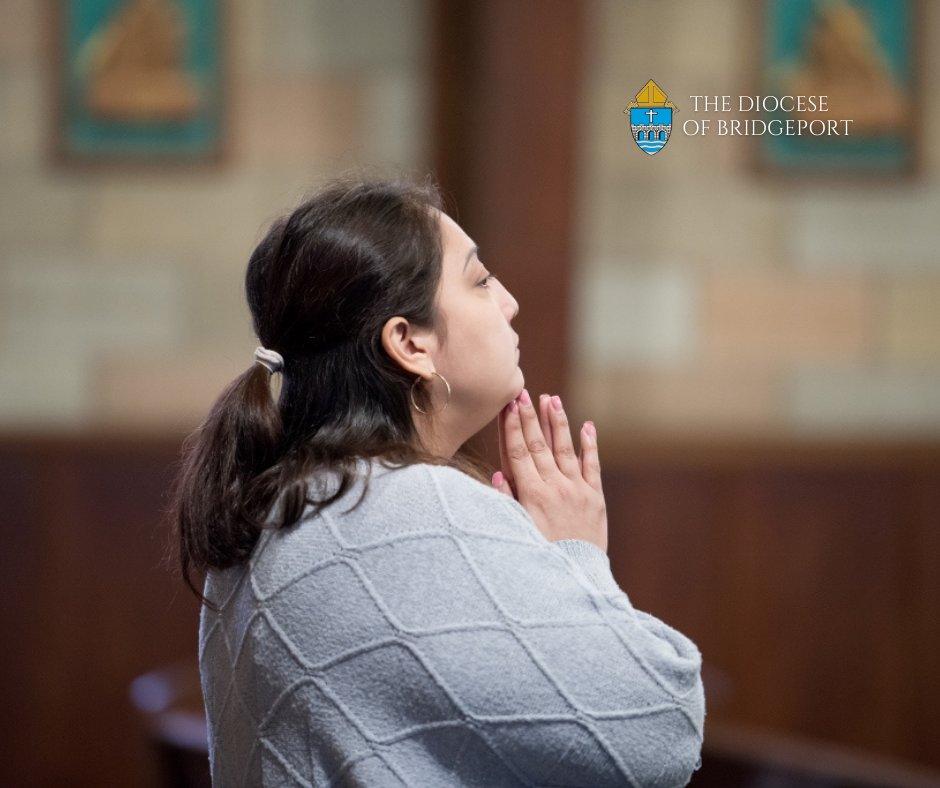 Diocese of Bridgeport tweet media