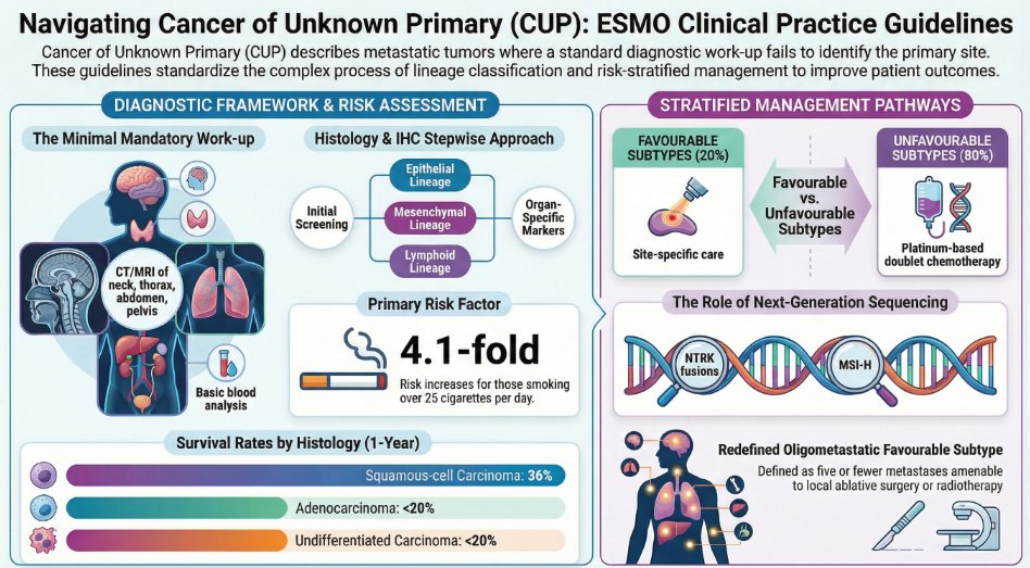 OpenMedInsights's tweet photo. Cancer of Unknown Primary (CUP): updated ESMO Clinical Practice Guideline

In one of the most challenging scenarios in oncology, @myESMO provides a comprehensive roadmap for:

🔬 Diagnostic algorithm & pathology workup
🧬 Molecular profiling integration
💊 Evidence-based systemic strategies
📅 Structured follow-up recommendations
CUP is no longer “diagnosis of exclusion” — precision diagnostics are redefining management.
🔗 Full guideline:
 https://t.co/qeRtomOsrT
@fatimacardoso , @stolaney1 , @LoiSher
#Oncology #CUP #PrecisionOncology #ESMOGuidelines #CancerCare