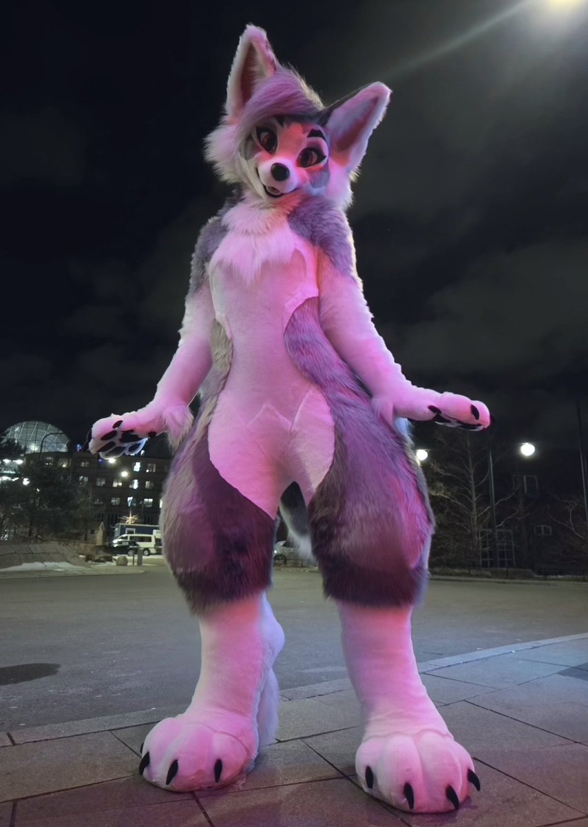 Primrose🌸 tweet media