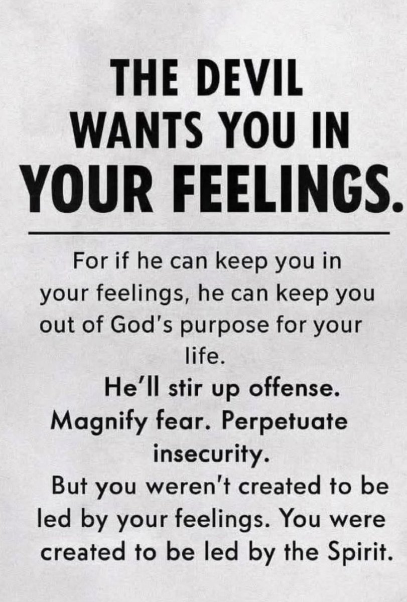 Gobirds46 tweet media