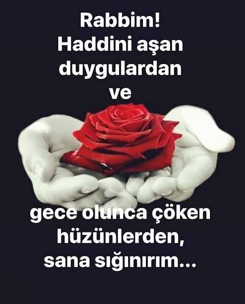 ahiret icin calısan (@cukadarzab1749) on Twitter photo 