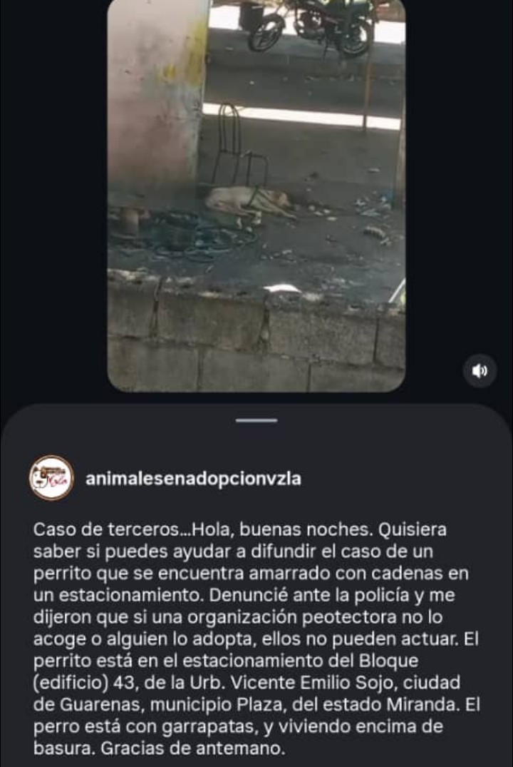 Zona Guarenas🙏🏻❤️🐶