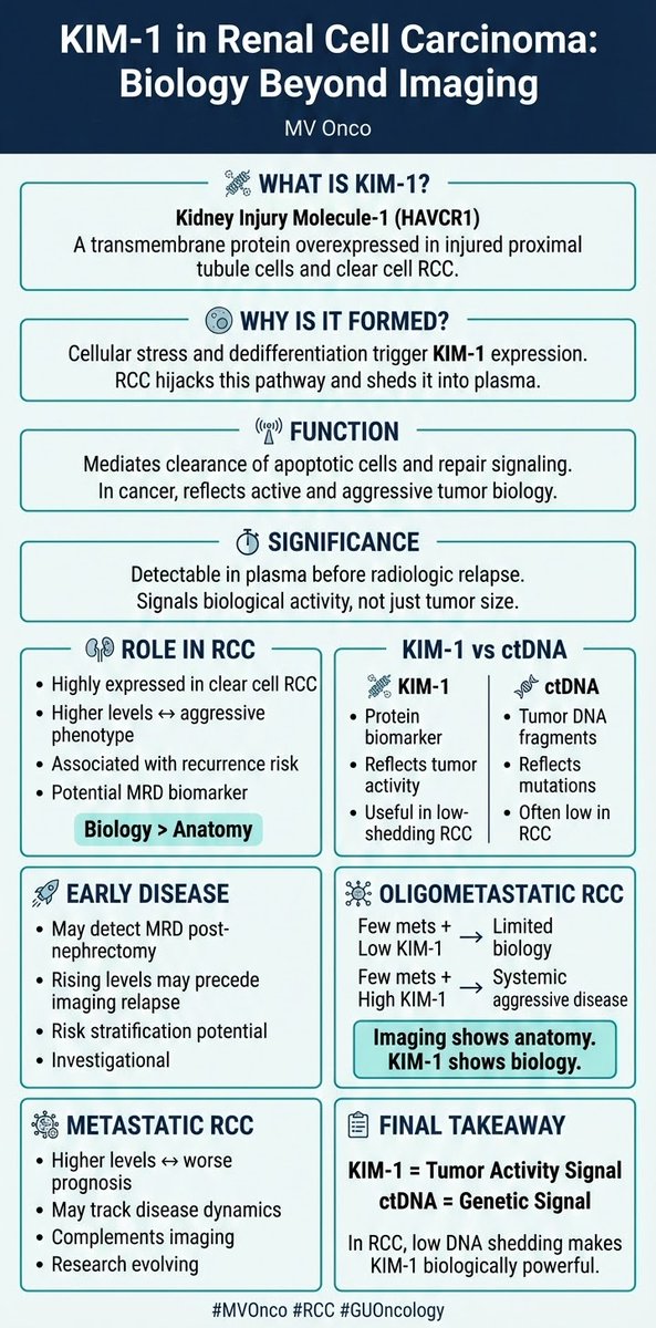 KIM-1 in RCC — why should we care?
🧬 It’s a protein released by kidney cancer cells
📈 It may rise before scans show relapse
🧠 It reflects tumor biology, not just tumor size
In RCC, biology may speak before imaging.
#MVOnco #RCC #KidneyCancer #GUOncology #Oncology