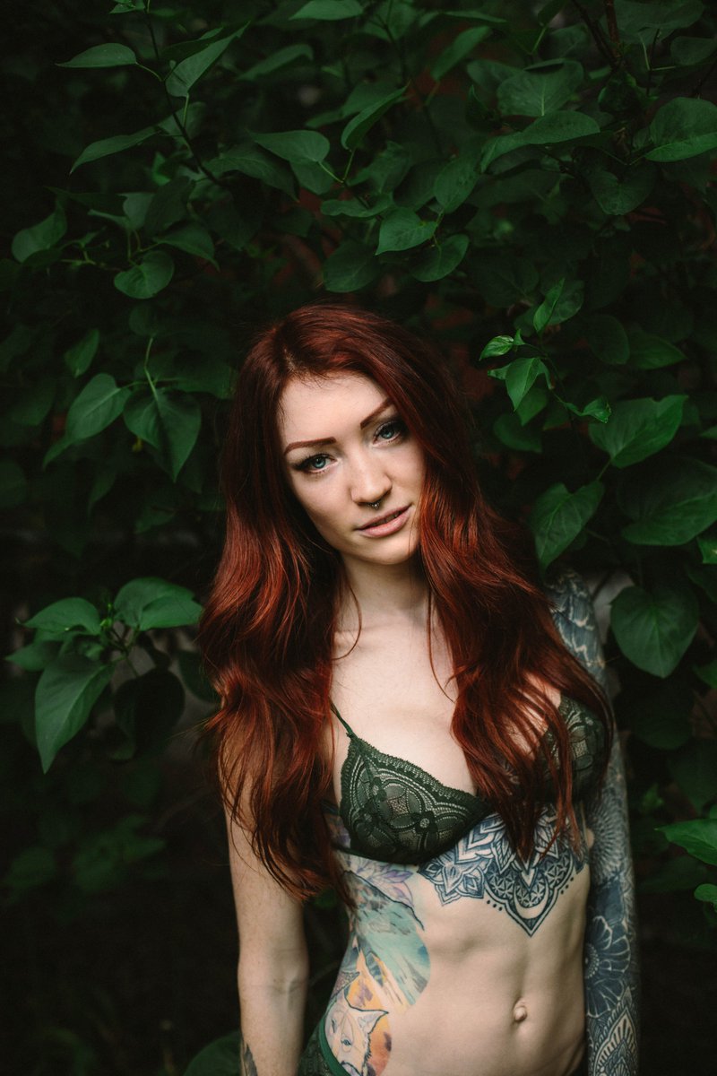 Zara Wolf 🌙 tweet media