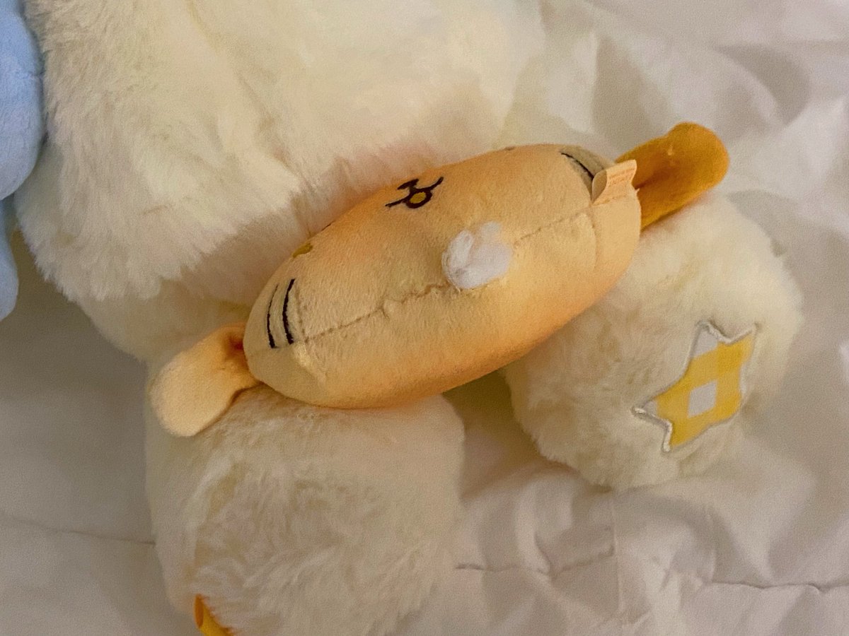 we__wish's tweet photo. 룐룐이 만지다가 터짐 .. 🤯 https://t.co/4SAjtzlnRI